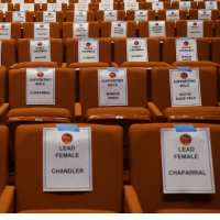 ASU Gammage Theater Seats Labeled for HSMTA 2025
