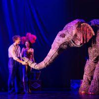 Water for Elephants